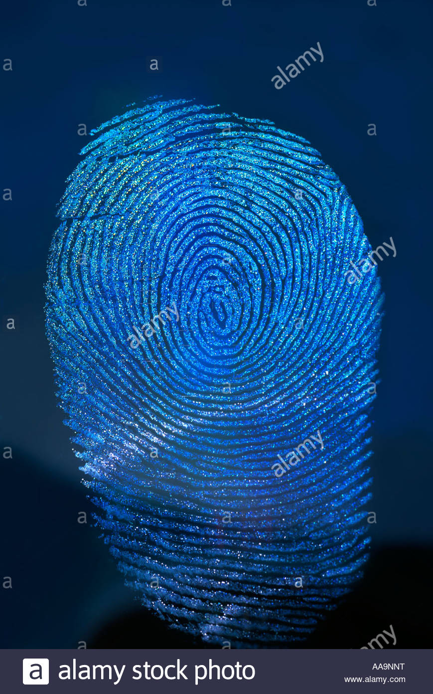 Fingerprint On Glass High Resolution Stock Photography and Images Alamy