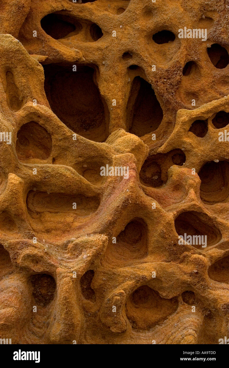 Complex natural patterns hi-res stock photography and images - Alamy