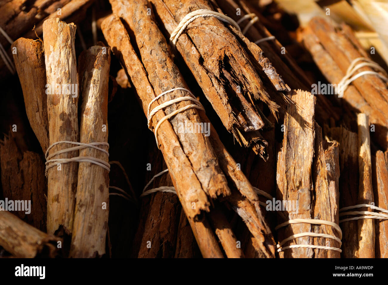 Bundles of raw Cinnamon bark (Cinnamomum cassia), Guadeloupe FR Stock Photo