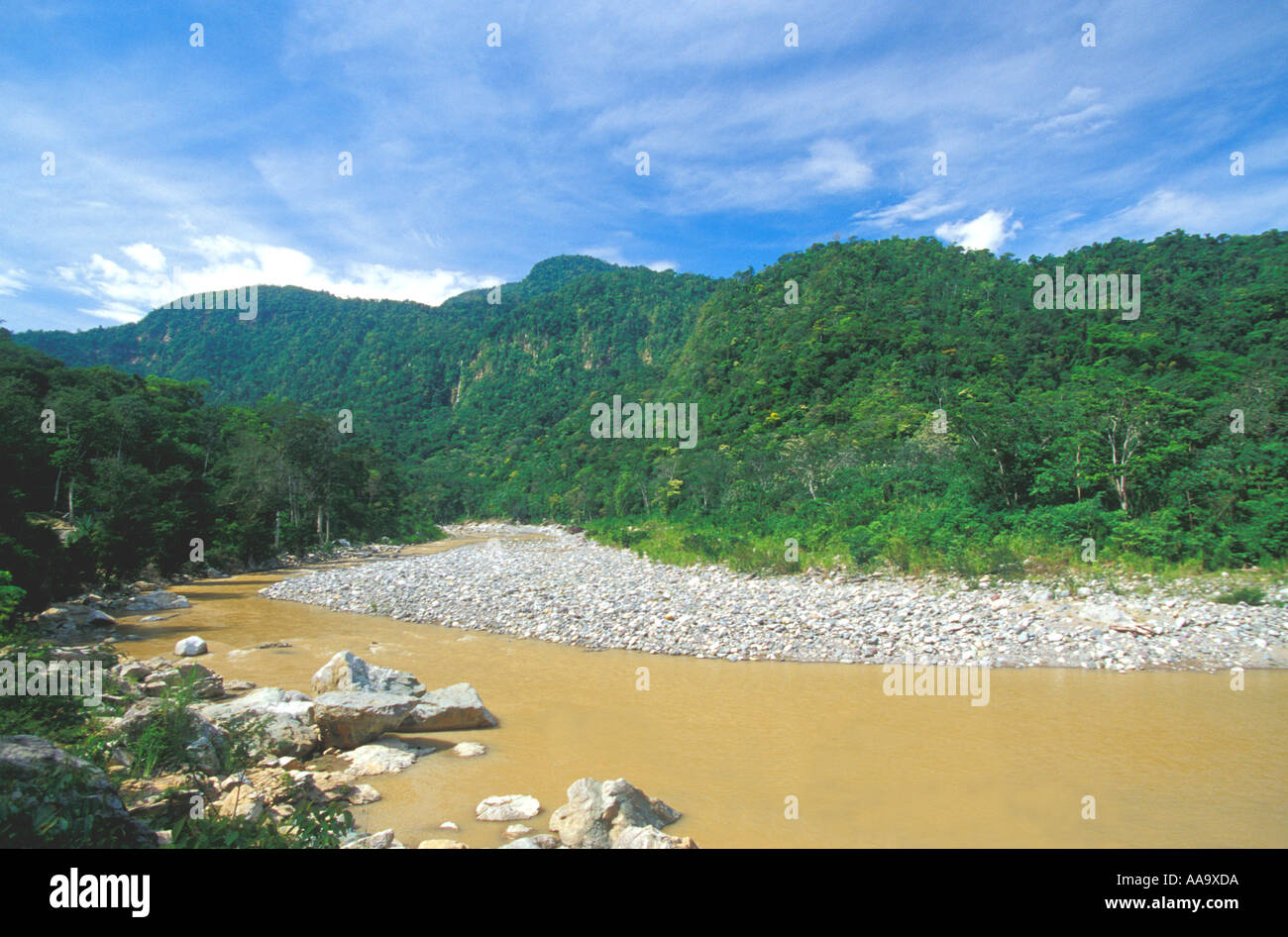 Honduras Pico Bonito National Park Horizontal Cangrejal River Stock