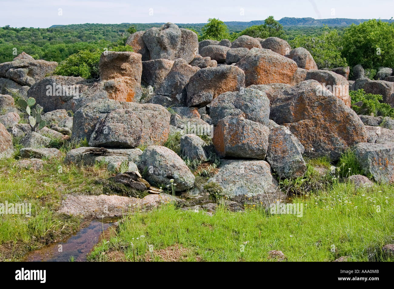 Granite boulders in field in Texas hill country Stock Photo Alamy