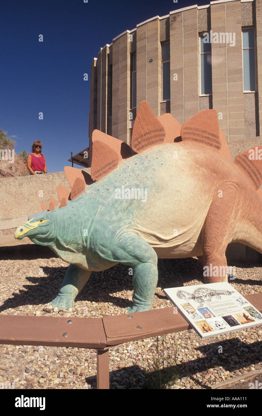 Dinosaur quarry museum hires stock photography and images Alamy