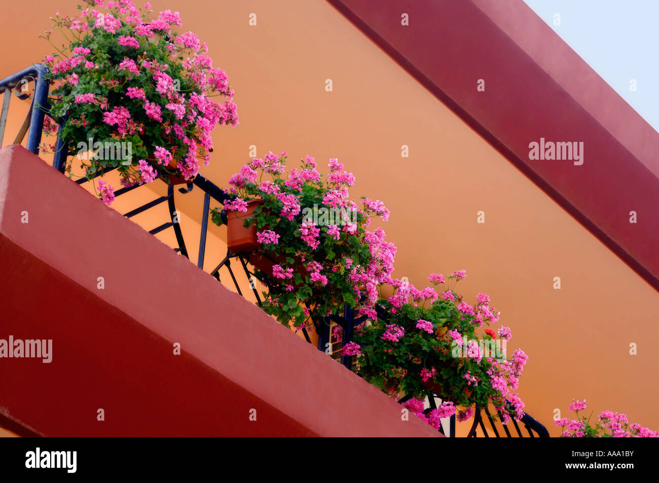 Flowers in flowerpots on a balcony Stock Photo