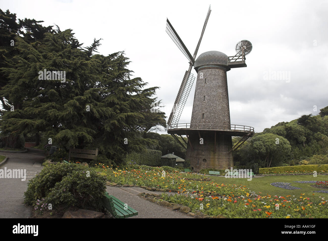 Windmill In The Queen Wilhelmina Tulip Garden Golden Gate Park San Stock Photo Alamy Windmill In The Queen Wilhelmina Tulip Garden Golden Gate Park San Stock Photo Alamy