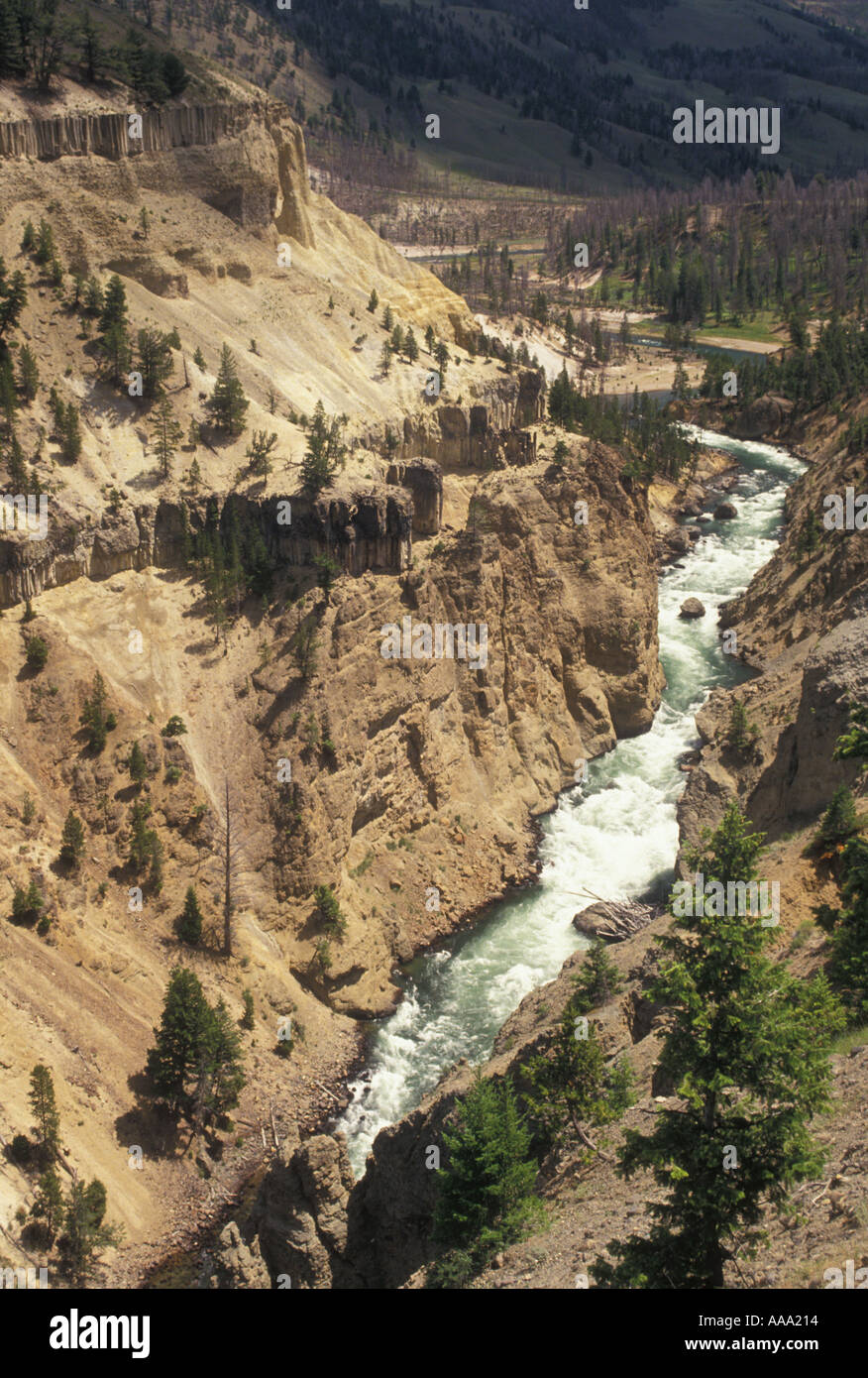 Canyon junction yellowstone national park hi-res stock photography and ...