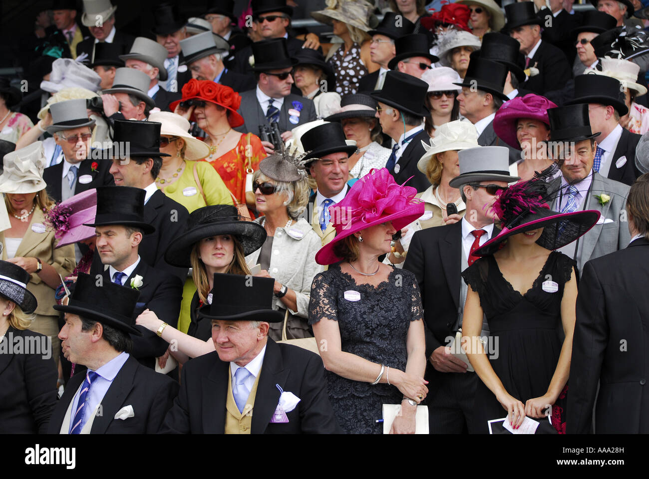 Ascot royal enclosure hi-res stock photography and images - Alamy