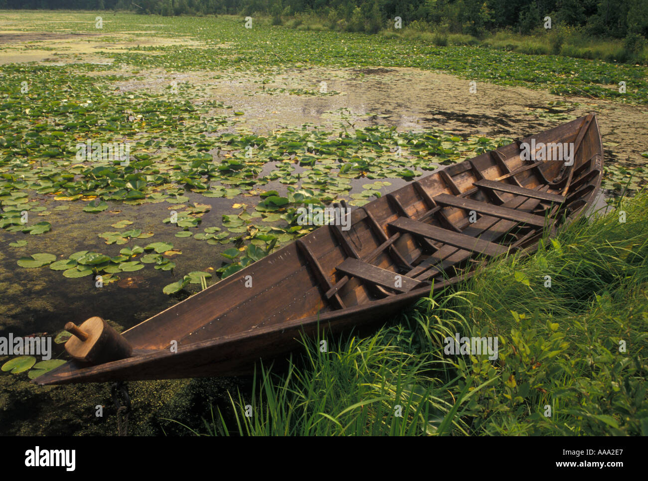Logging in minnesota hires stock photography and images Alamy