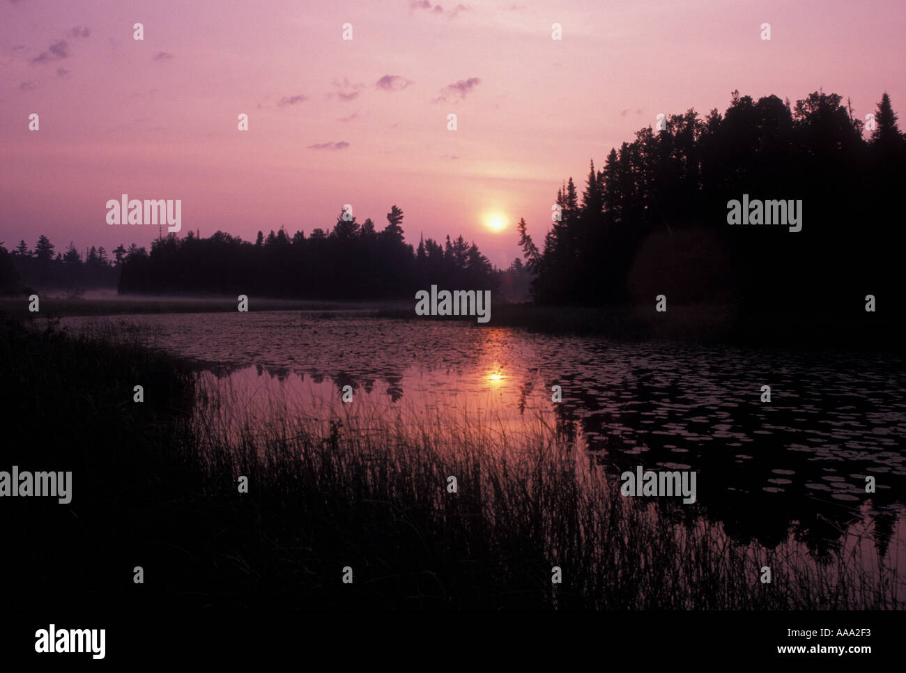 AJ12874, Boundary Waters, MN, Ely, Minnesota Stock Photo - Alamy