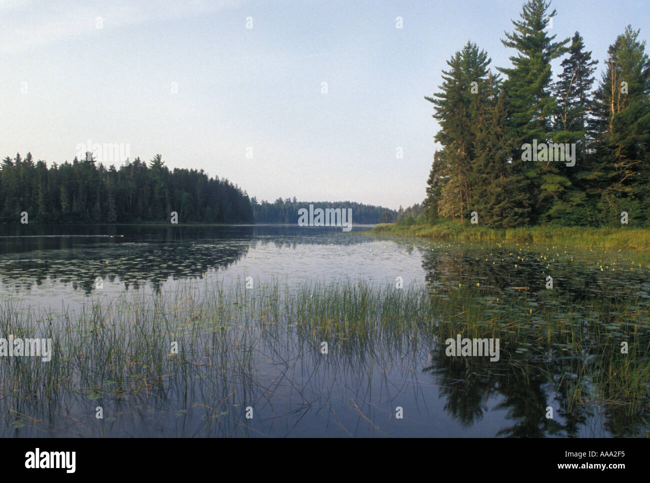 AJ12876, Boundary Waters, MN, Ely, Minnesota Stock Photo - Alamy