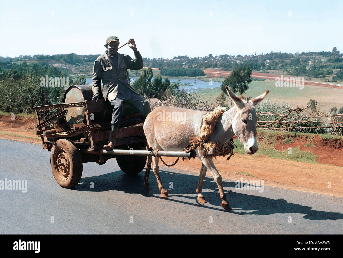 Kikuyu man on a donkey cart carrying a drum of water Near Limuru Central Province Kenya East Africa Stock Photo