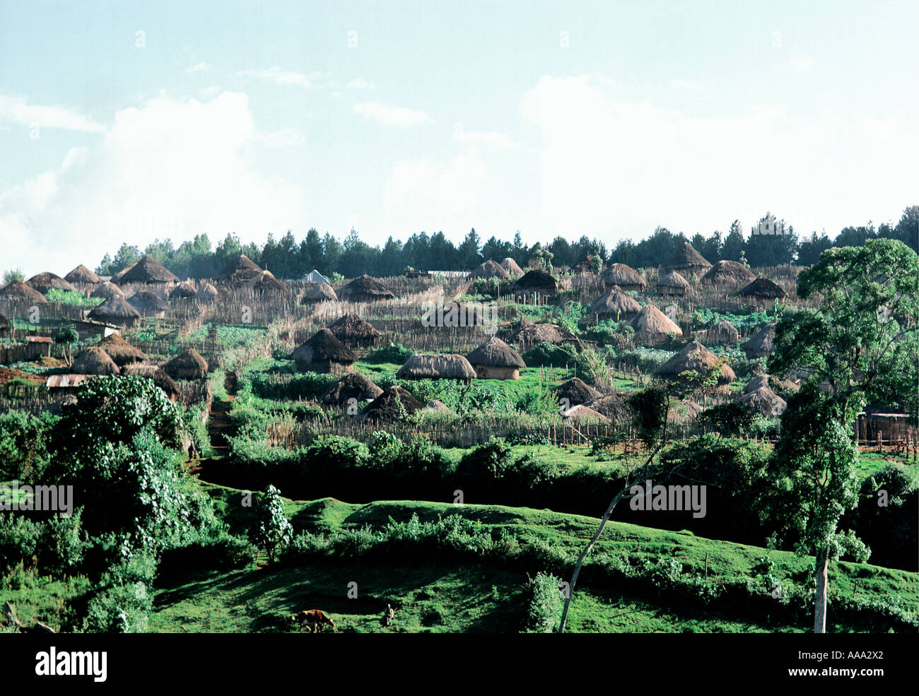 Congested Kikuyu village or settlement on eastern side of Aberdare Mountains in Central Province Kenya East Africa Stock Photo