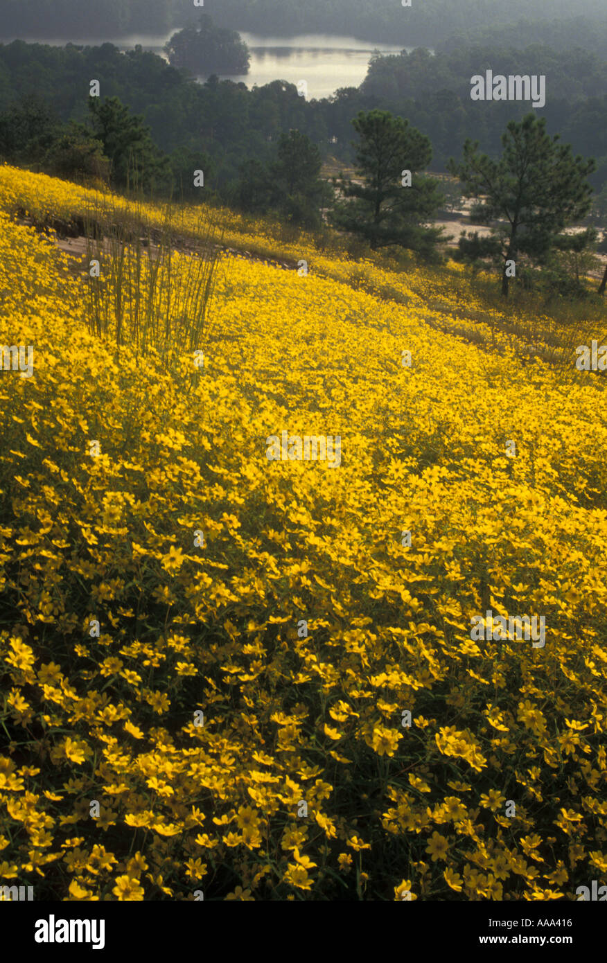 Aj13166 hires stock photography and images Alamy