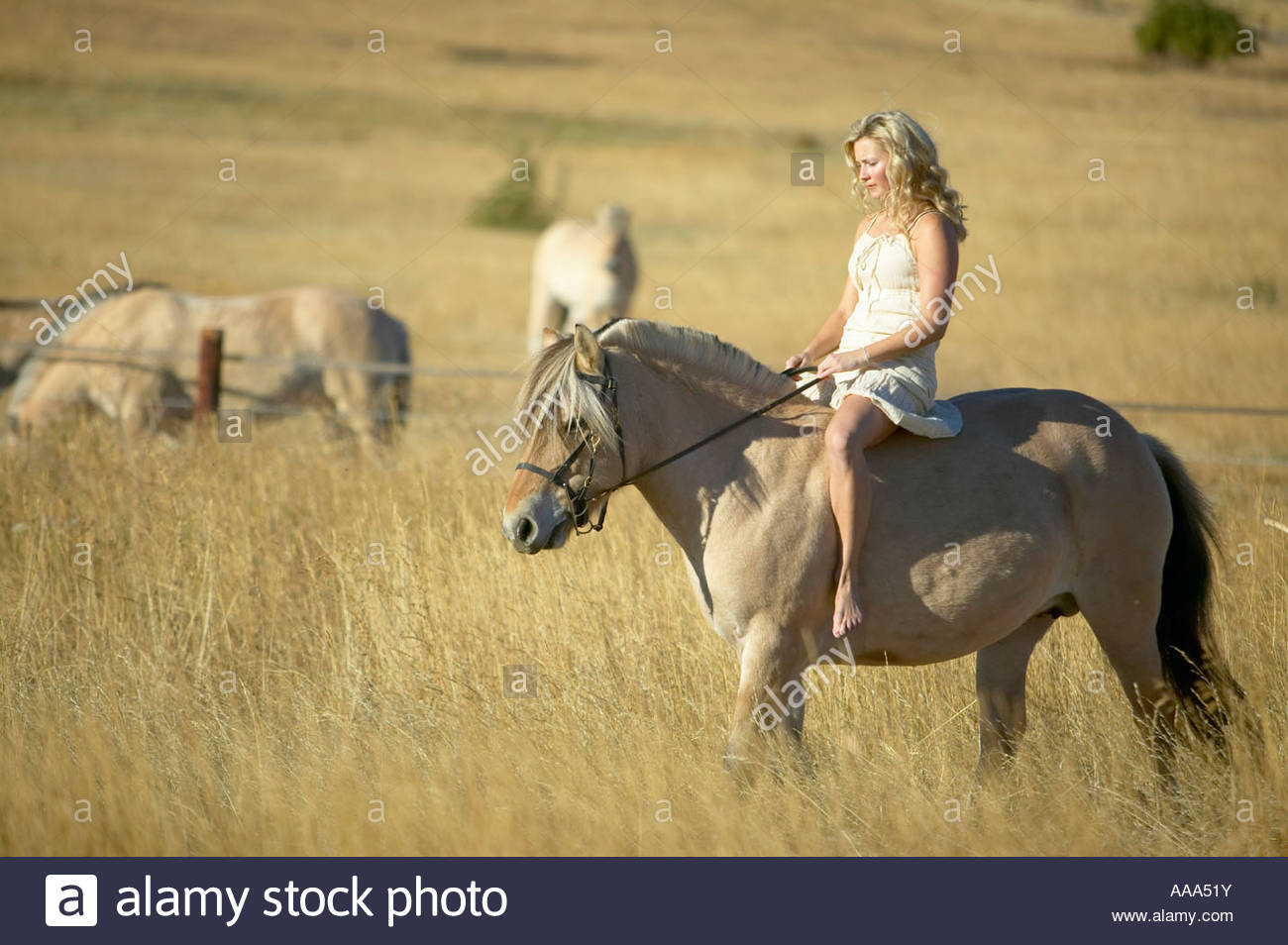 Woman riding a horse bareback Stock Photo: 12564518 - Alamy