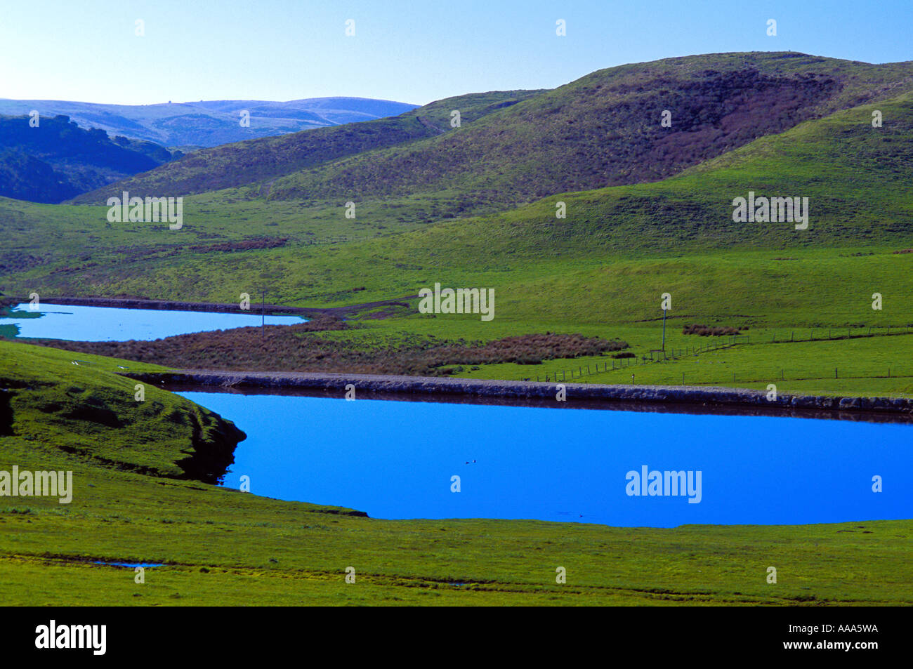 Tomales Pond and Pasture Stock Photo Alamy