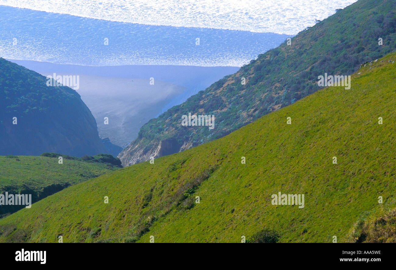 Tomales State Park Overview Stock Photo Alamy