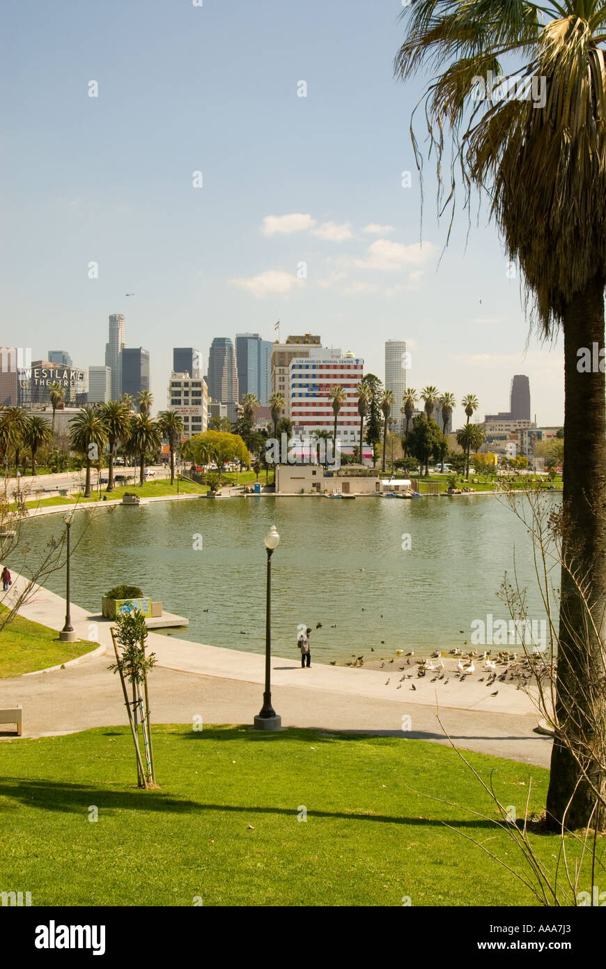 MacArthur park and downtown, Los Angeles, ca, usa Stock Photo Alamy