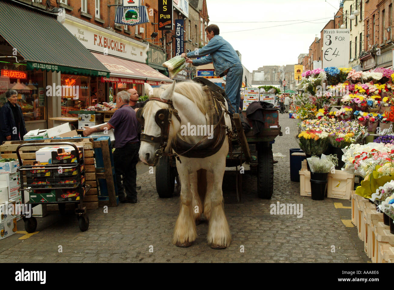 Horse Delivery High Resolution Stock Photography and Images Alamy