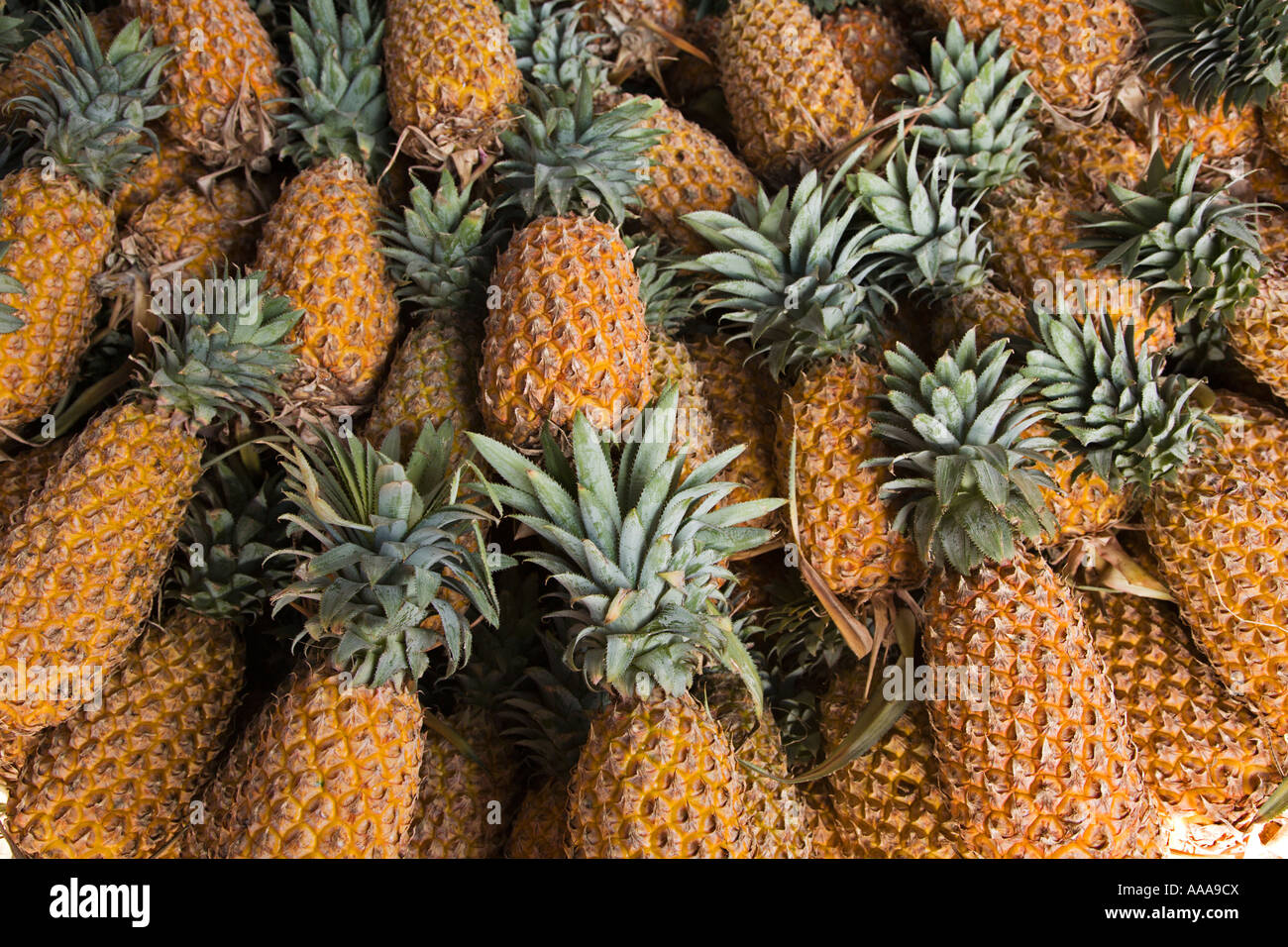 Pineapples piled up for sale at Crawford Market in Mumbai Stock Photo