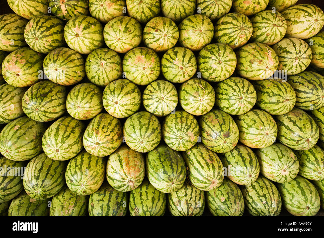 Watermelons piled up for sale in Mumbai Crawford market Stock Photo Alamy