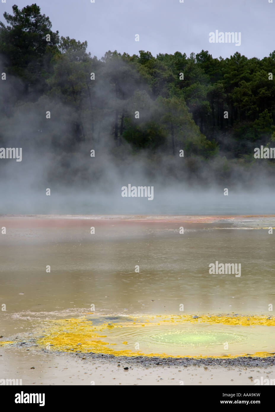 Artists Pallet geothermal spring at Wai-O-Tapu thermal park. Rotorua ...
