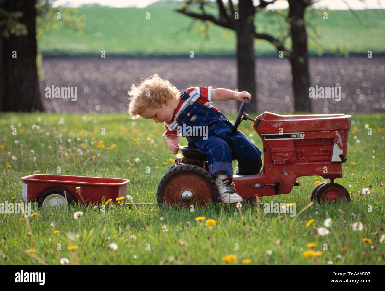Agriculture Farm Life young boy riding a pedal toy tractor / Fort