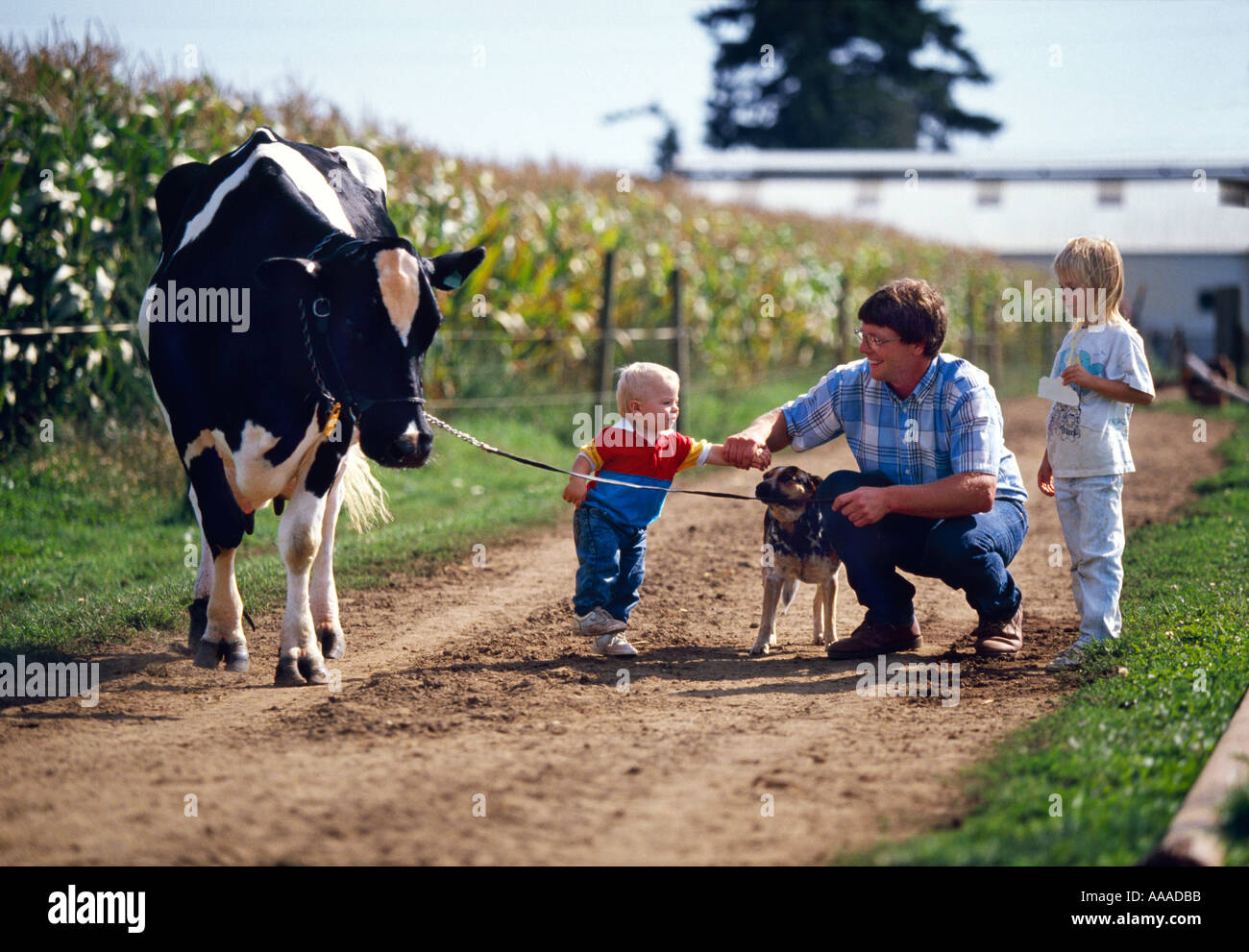 Agriculture - Family farm life; a dairy farmer and his children with a Holstein dairy cow and dog / near Lynden, Washington, USA Stock Photo