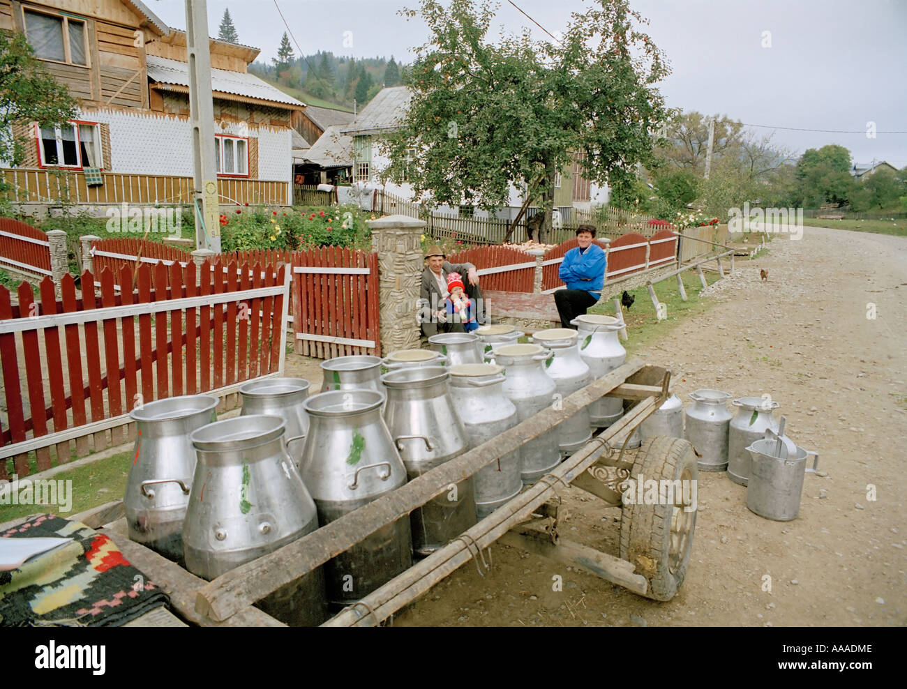 milk churn collection in Romania By horse and cart Stock Photo