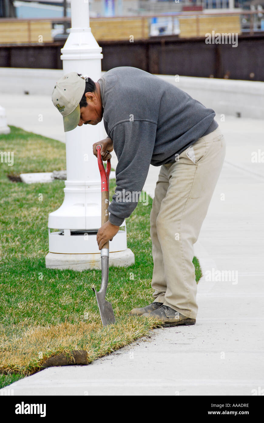 Ethnic man works on landscaping project Stock Photo