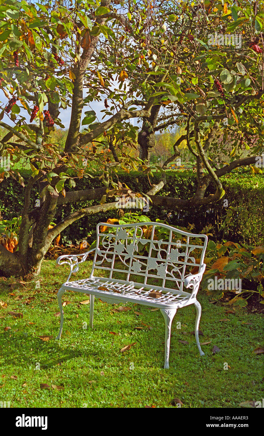 Ornate garden bench hi-res stock photography and images - Alamy