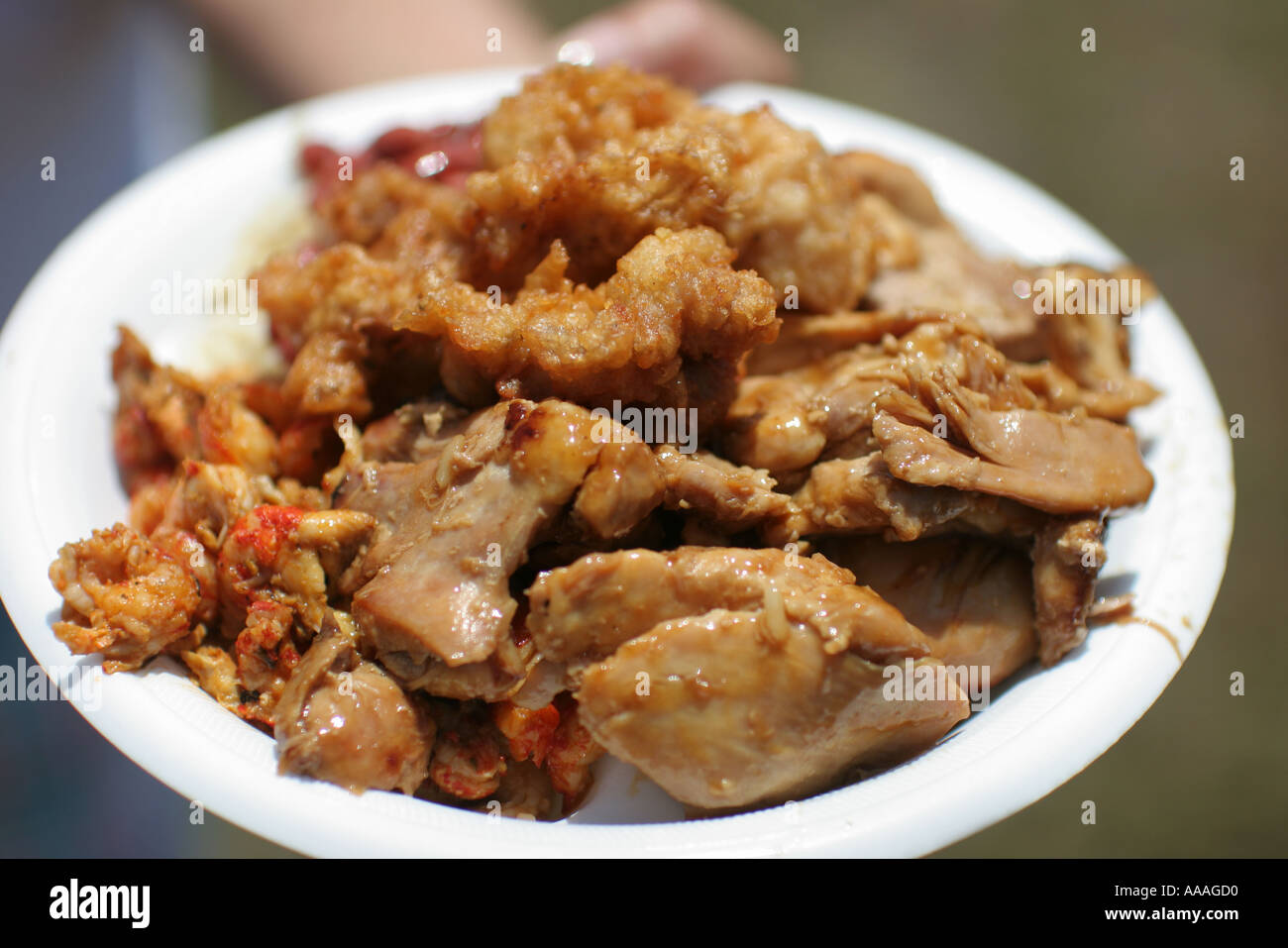 Florida, Zydeco Festival, Cajun food, chicken Stock Photo Alamy