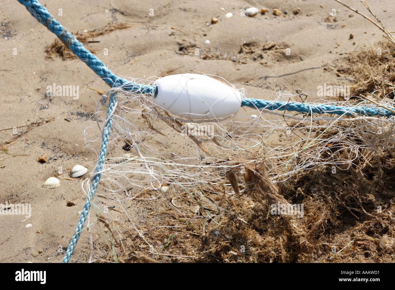 Fishing net on beach UK Stock Photo Alamy