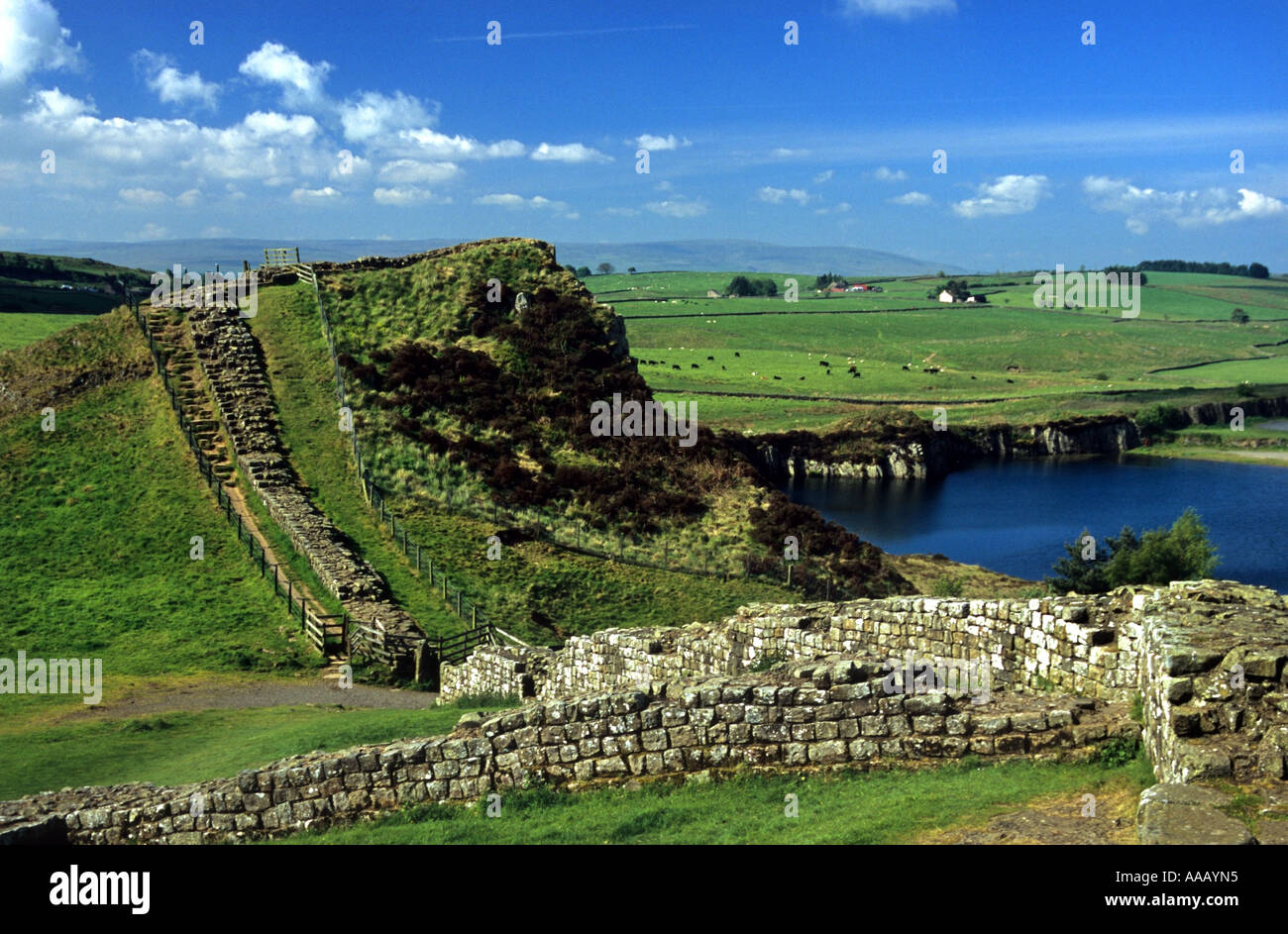 Hadrians Wall, Cawfields, Northumberland, England Stock Photo - Alamy