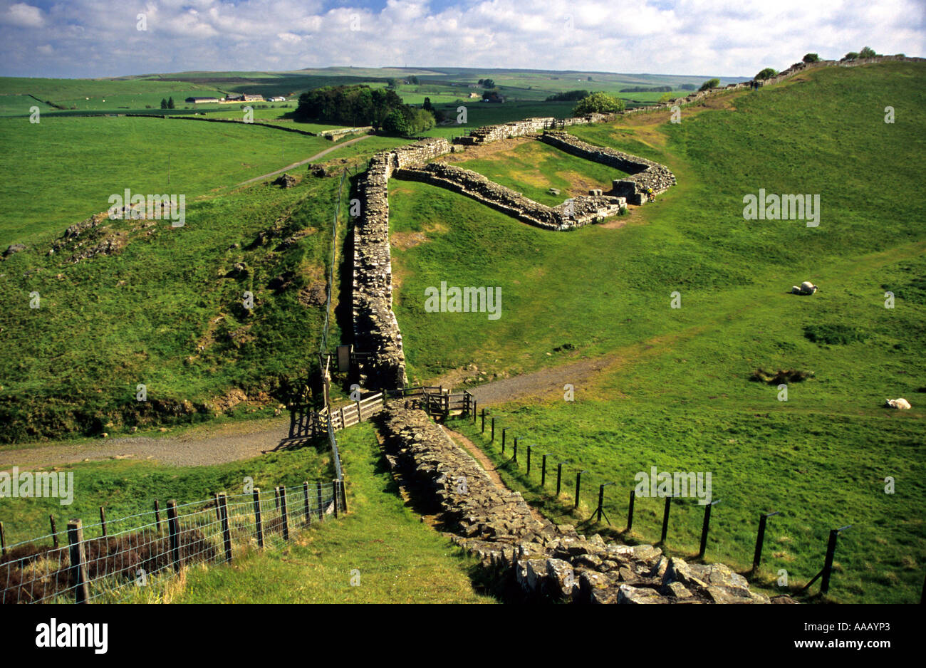 Hadrians Wall, Cawfields, Northumberland, England Stock Photo - Alamy