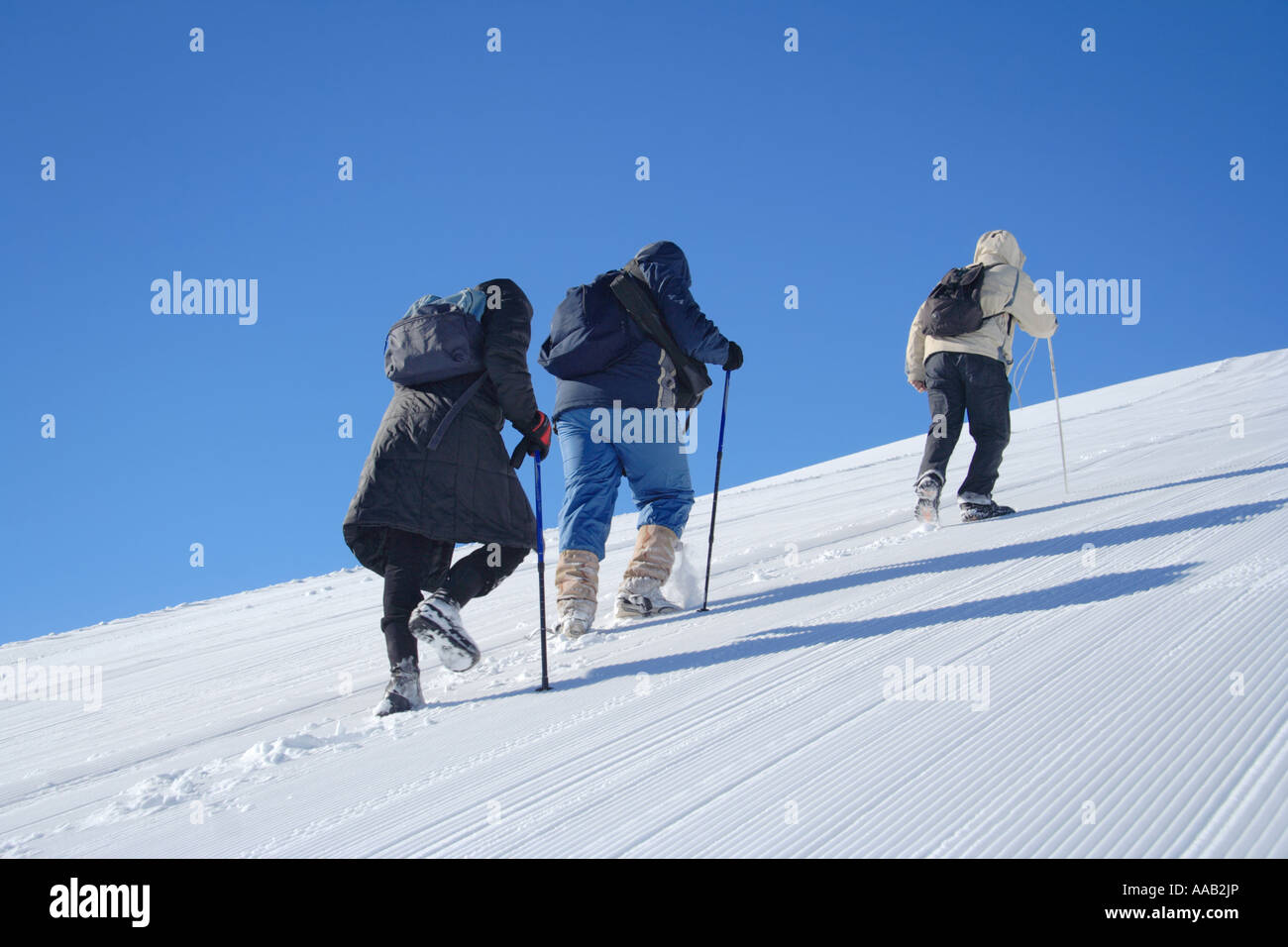 Alpine expedition going towards the summit in Macedonia Stock Photo - Alamy