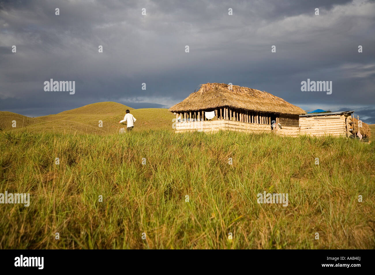 Hut in the Gran Sabana,  Venezuela Stock Photo