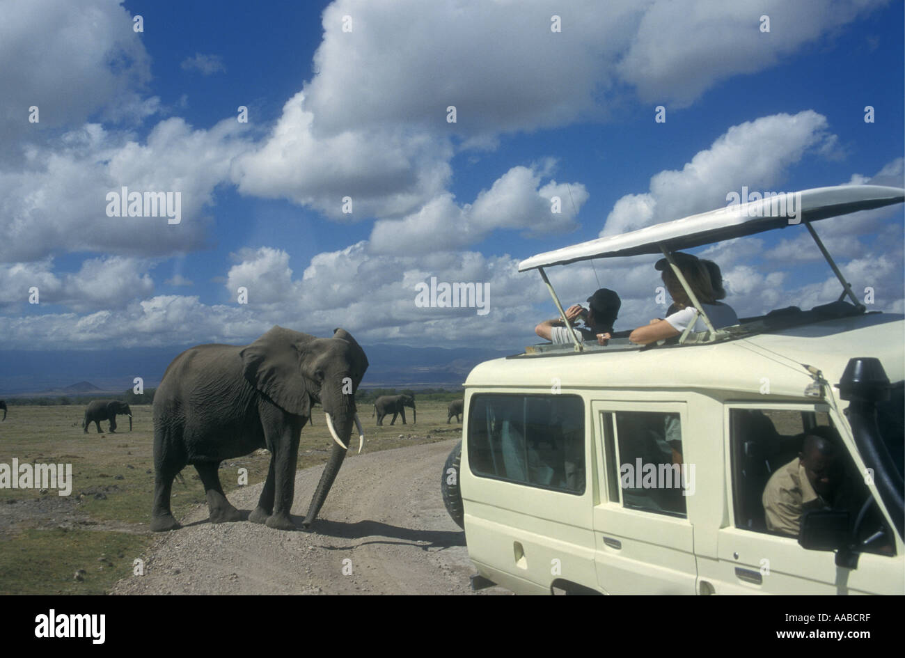 Open topped Toyota Landcruiser close to elephant Amboseli National Park Kenya East Africa Stock Photo