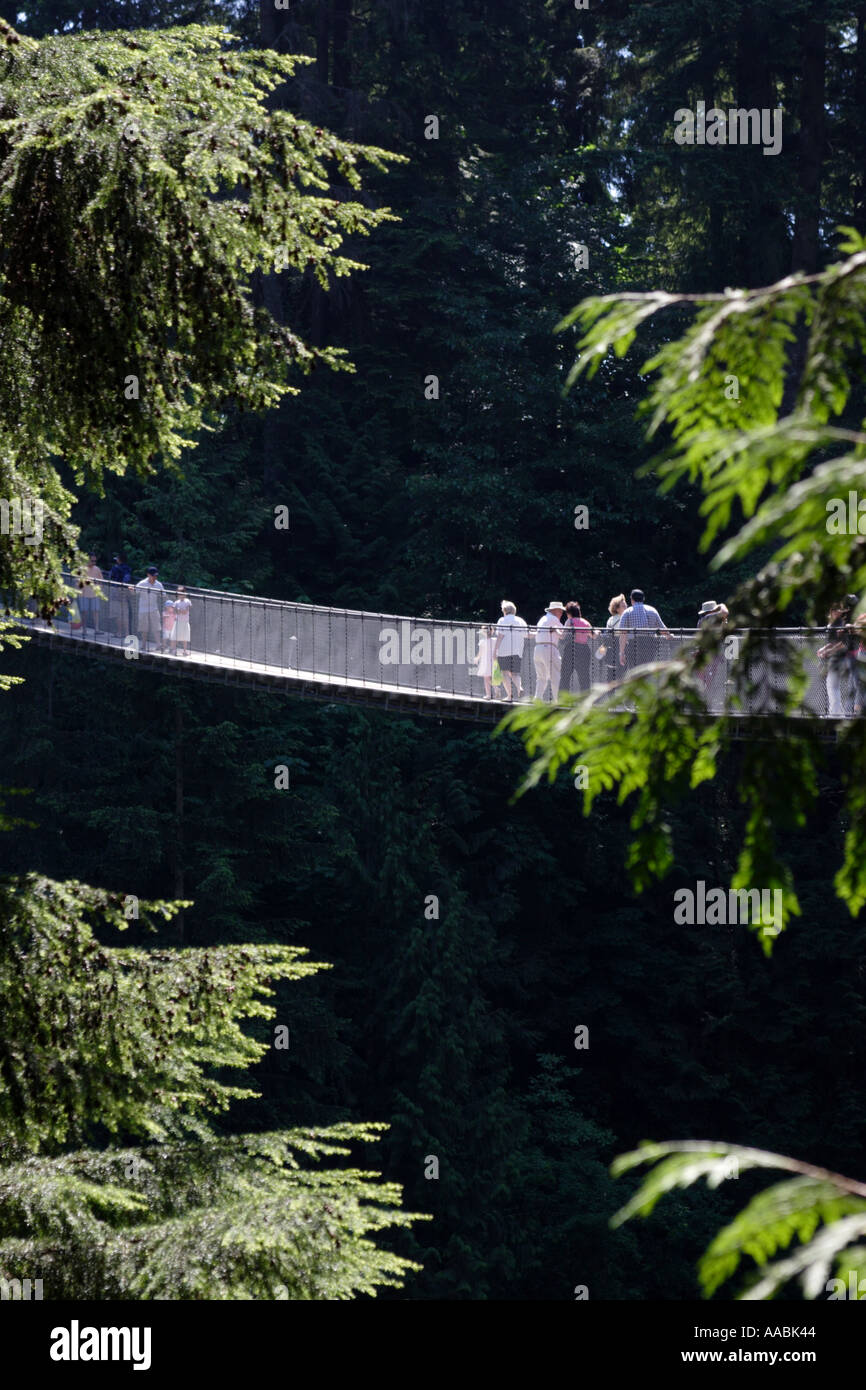Capilano Suspension Bridge near Vancouver British Columbia Canada Stock Photo Alamy