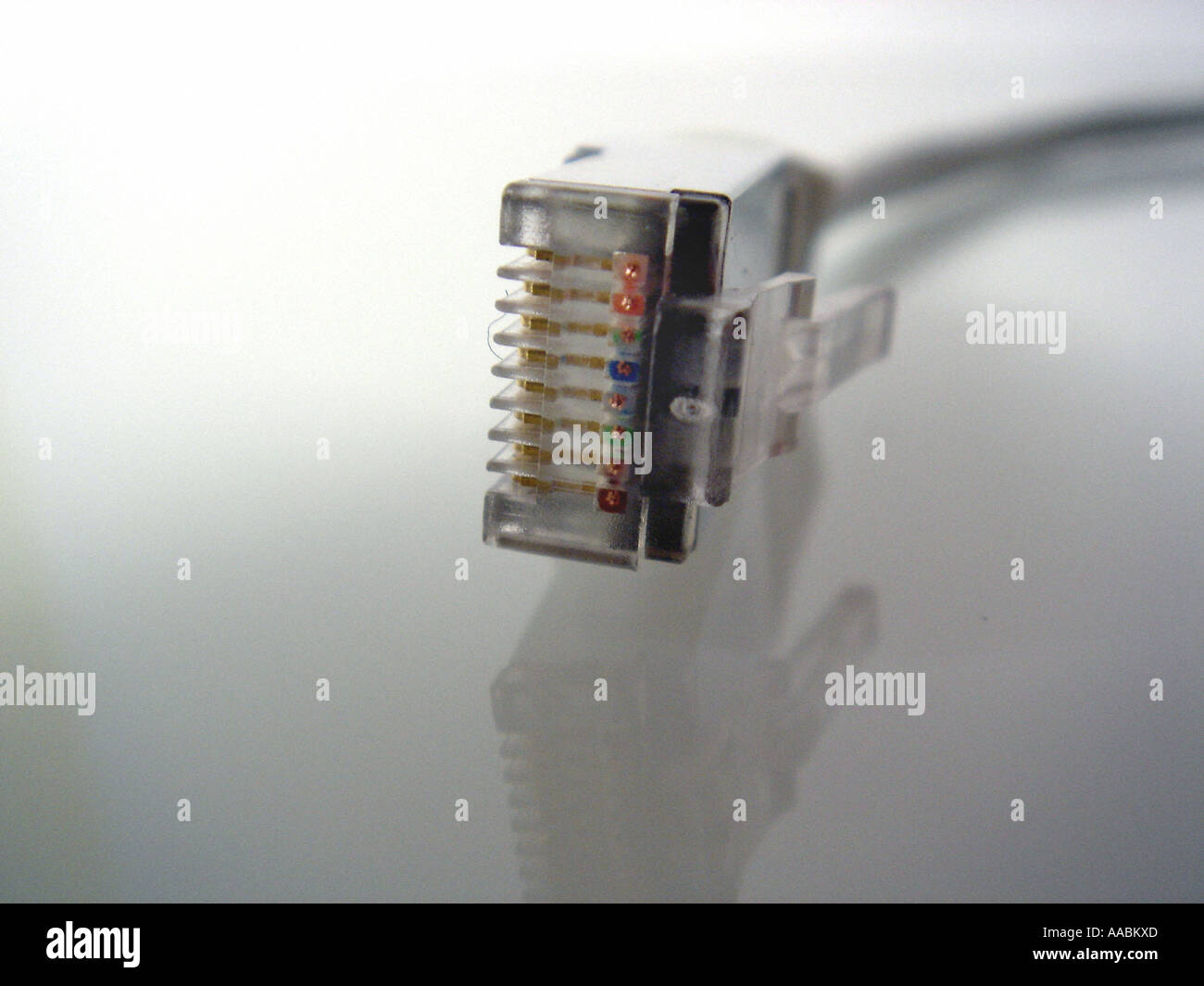 Network plug Stock Photo