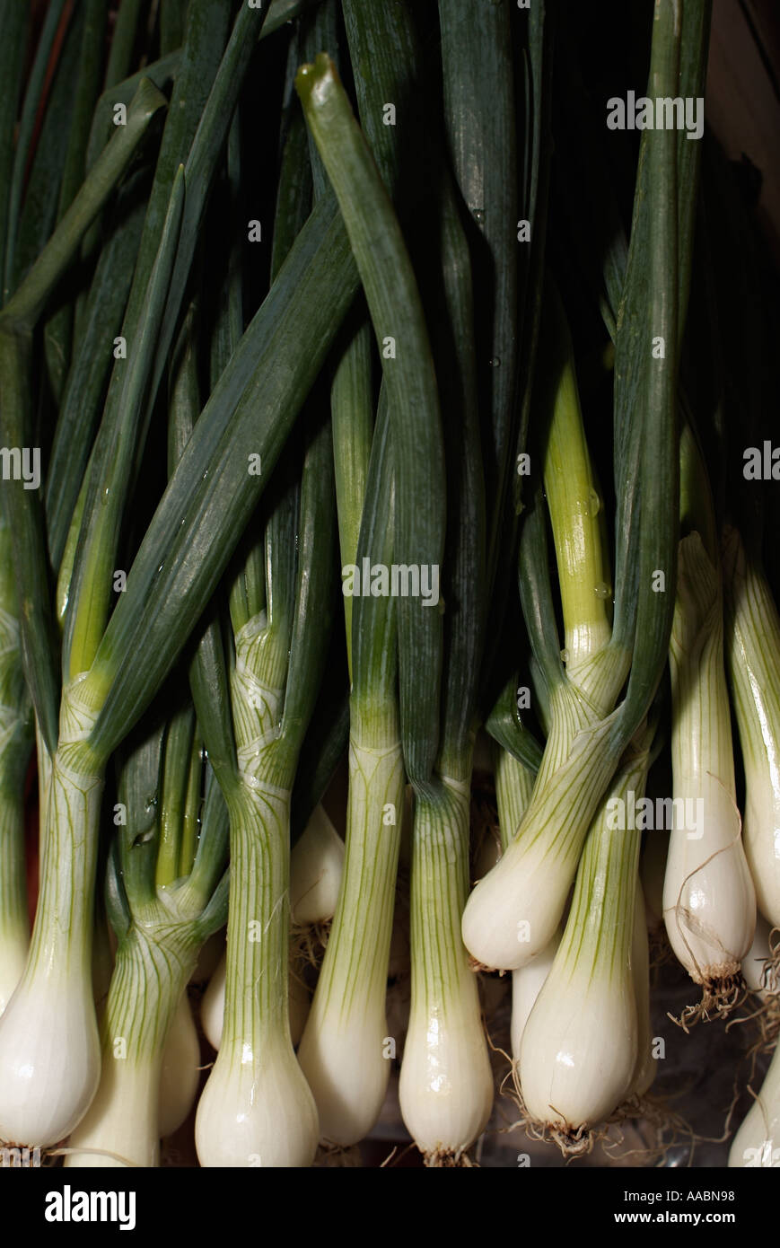 Spring vegetable hi-res stock photography and images - Alamy