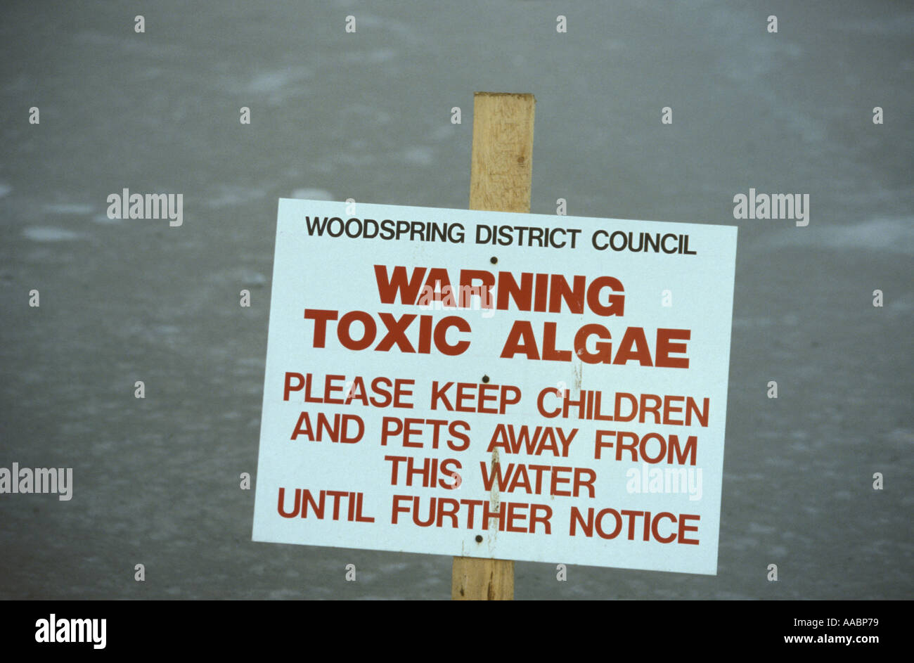 Warning Toxic Algae sign on public boating lake Portishead North Somerset England Stock Photo
