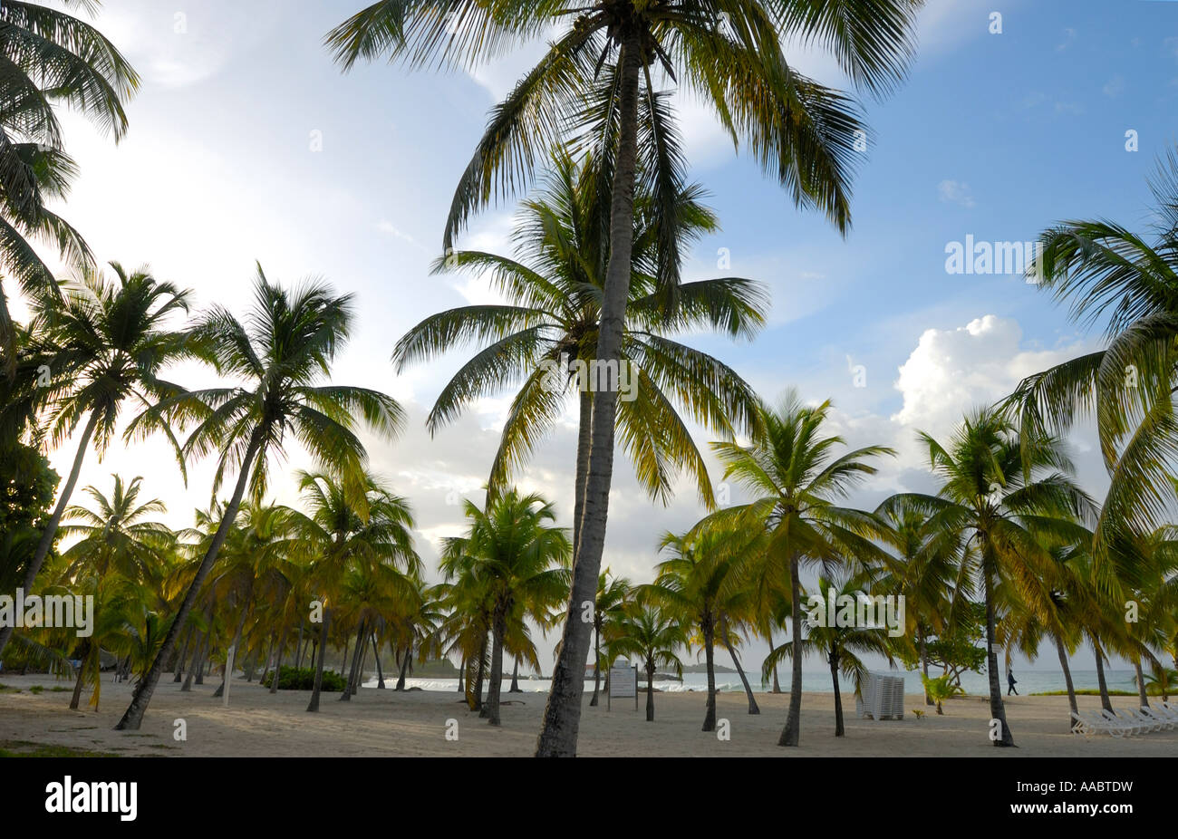 A beach near Le Gosier, Guadeloupe FR Stock Photo