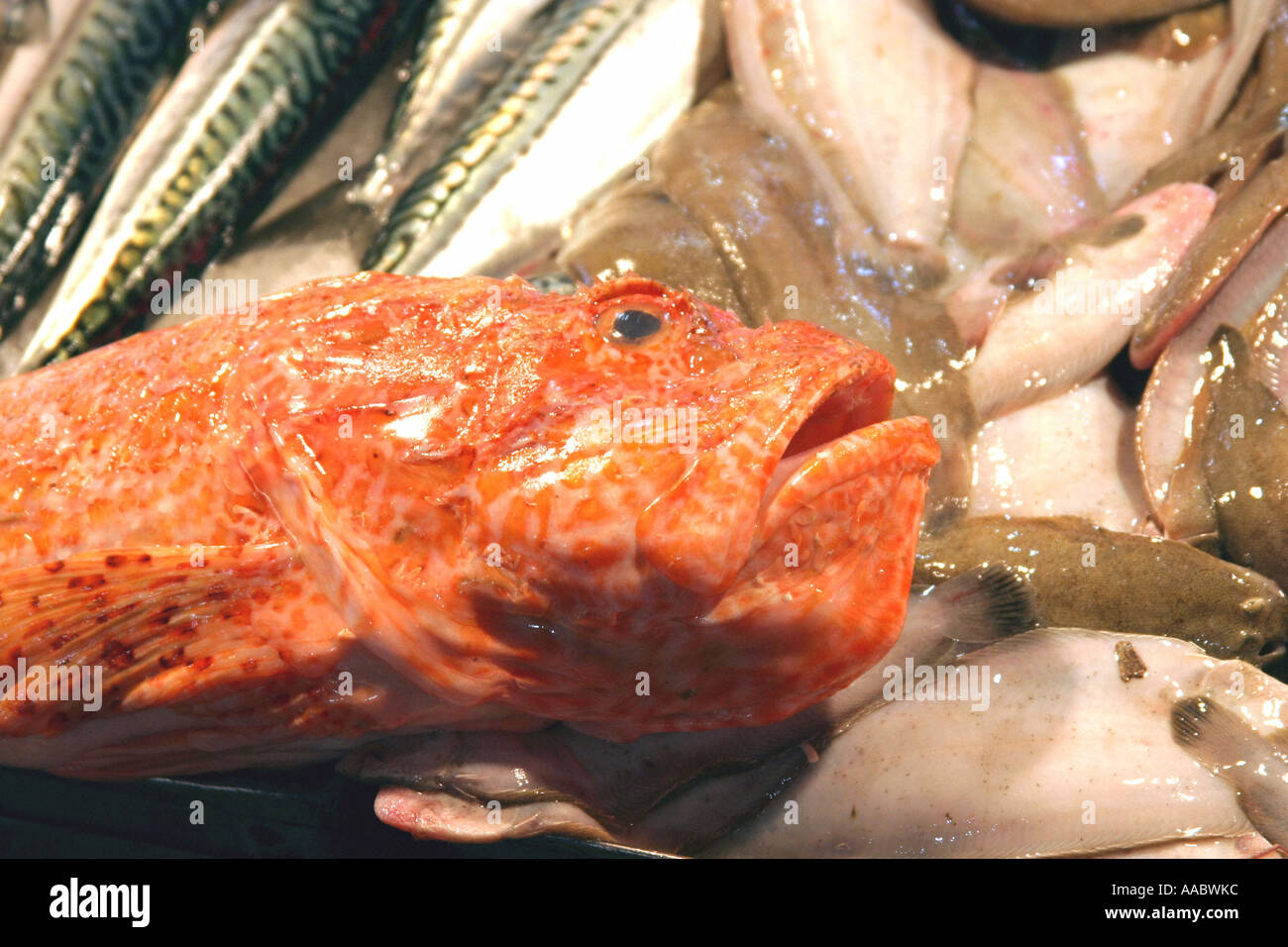 fish market Stock Photo