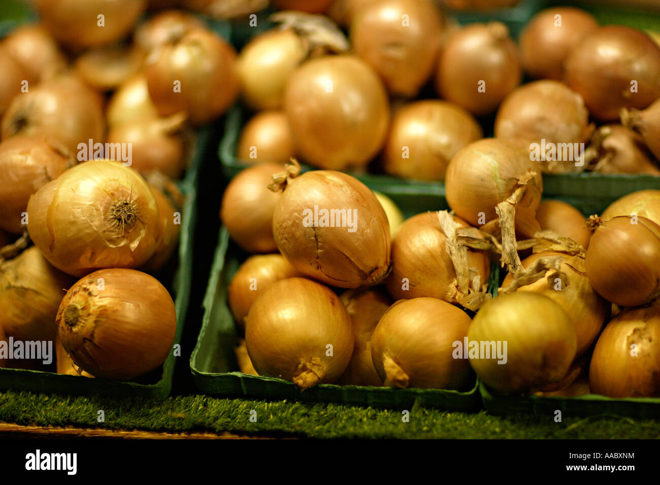 Onions in super market's produce isle Stock Photo - Alamy