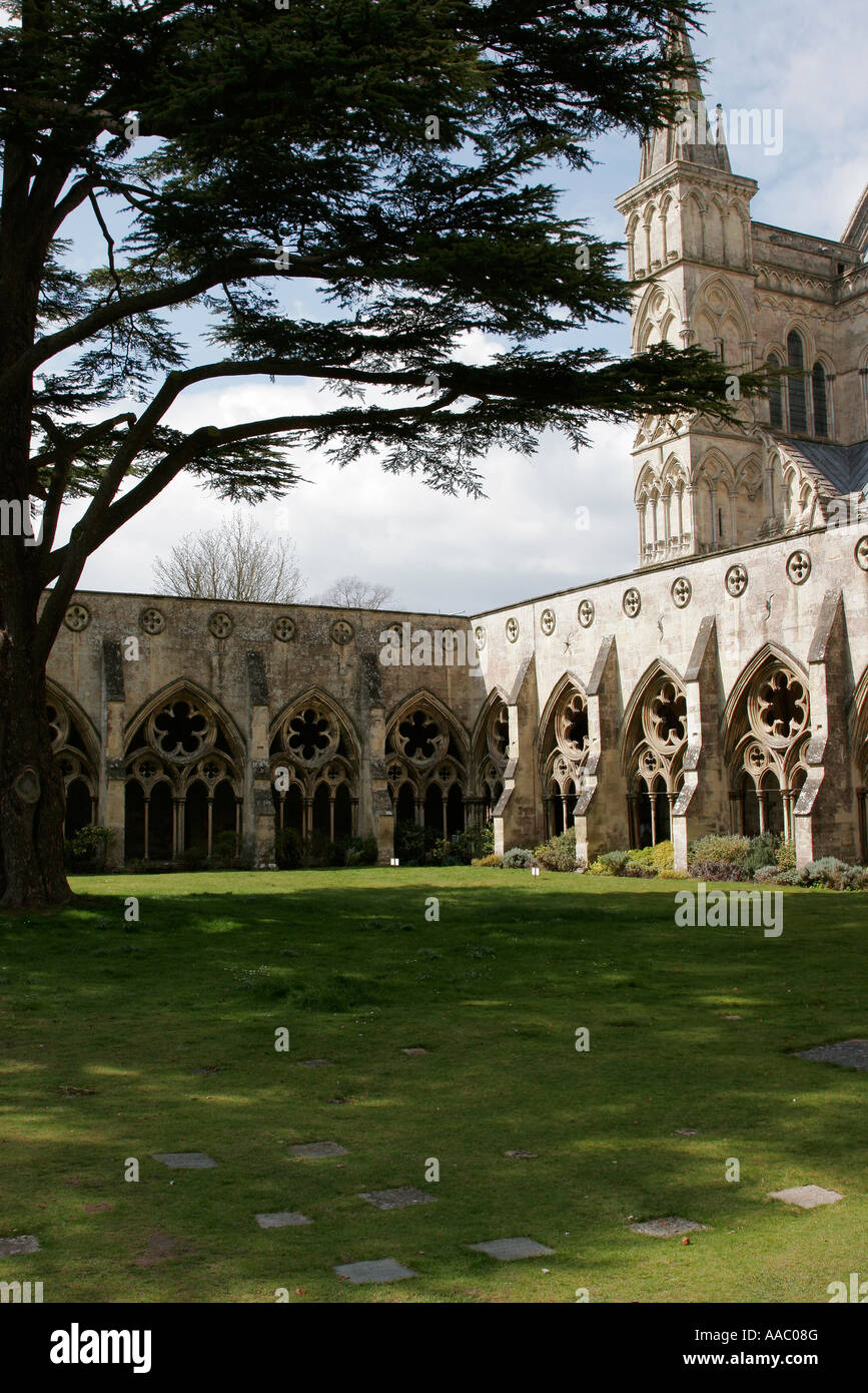 Cloister at Salisbuy Cathedral Wiltshire Stock Photo