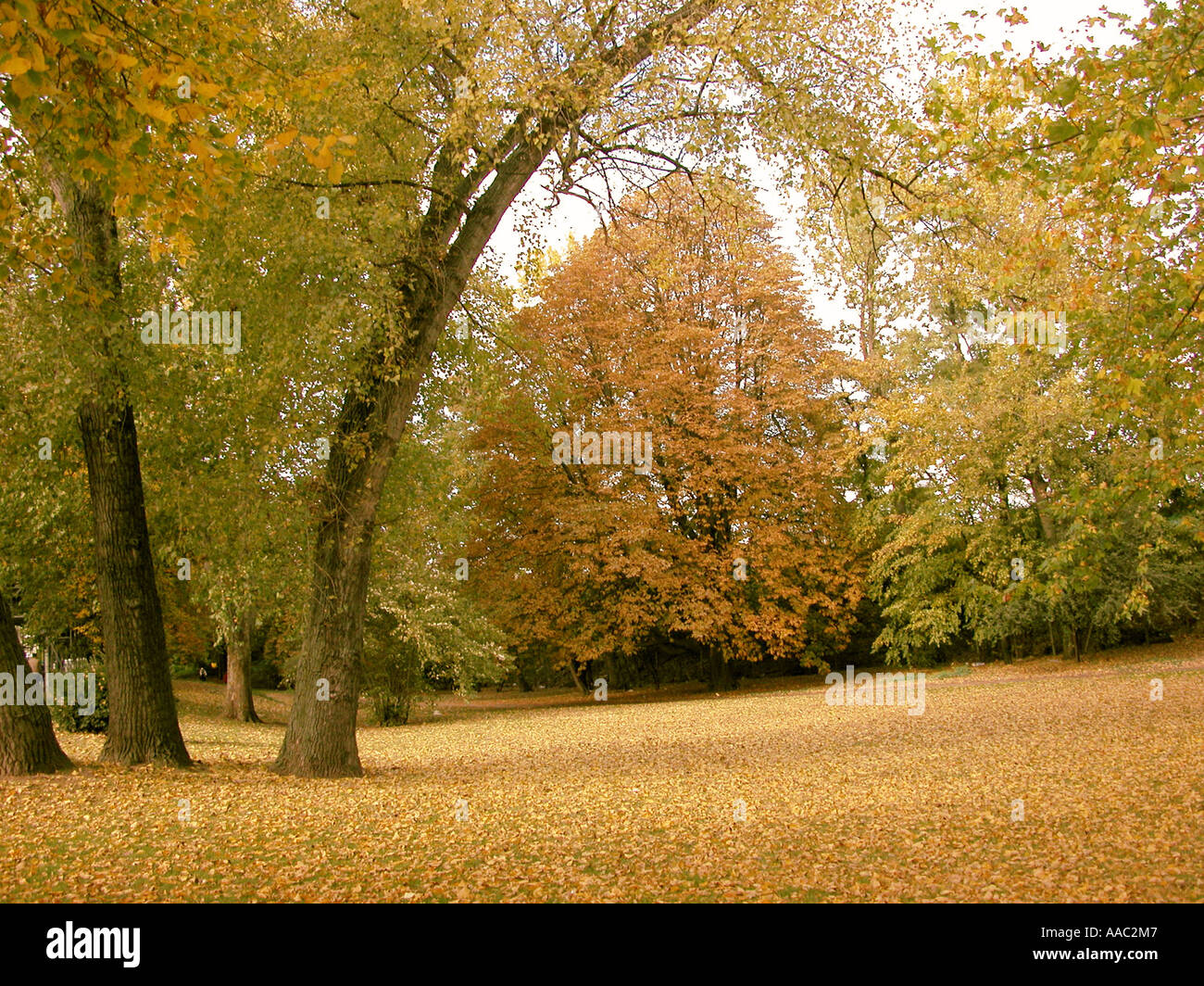 Passed out person isolated hi-res stock photography and images - Alamy