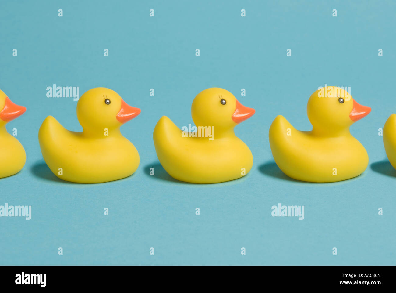rubber ducks in a row Stock Photo - Alamy