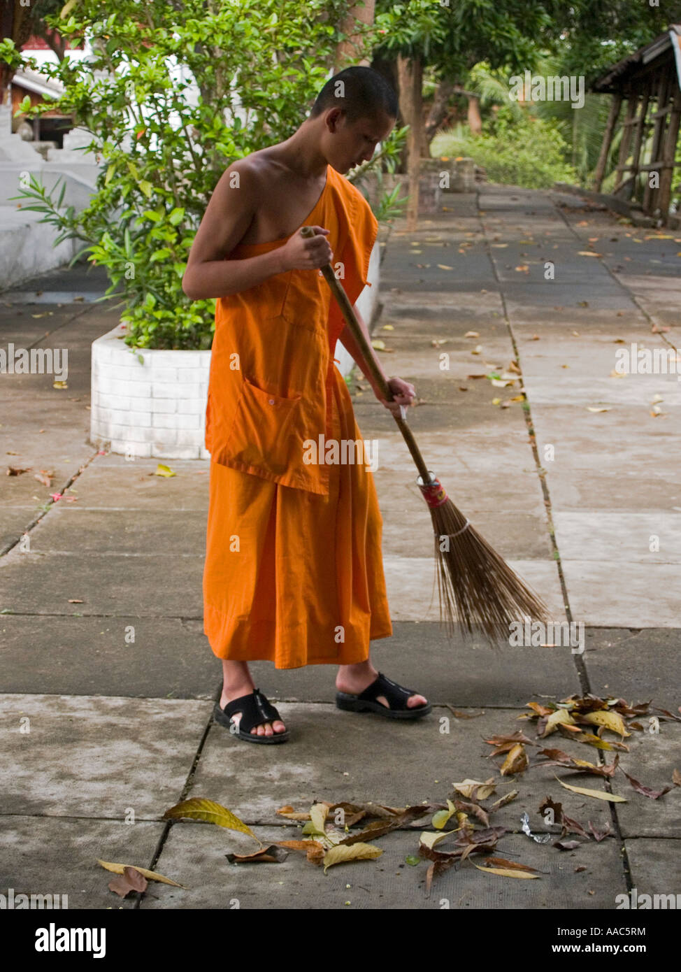 Jain Monks Sweeping