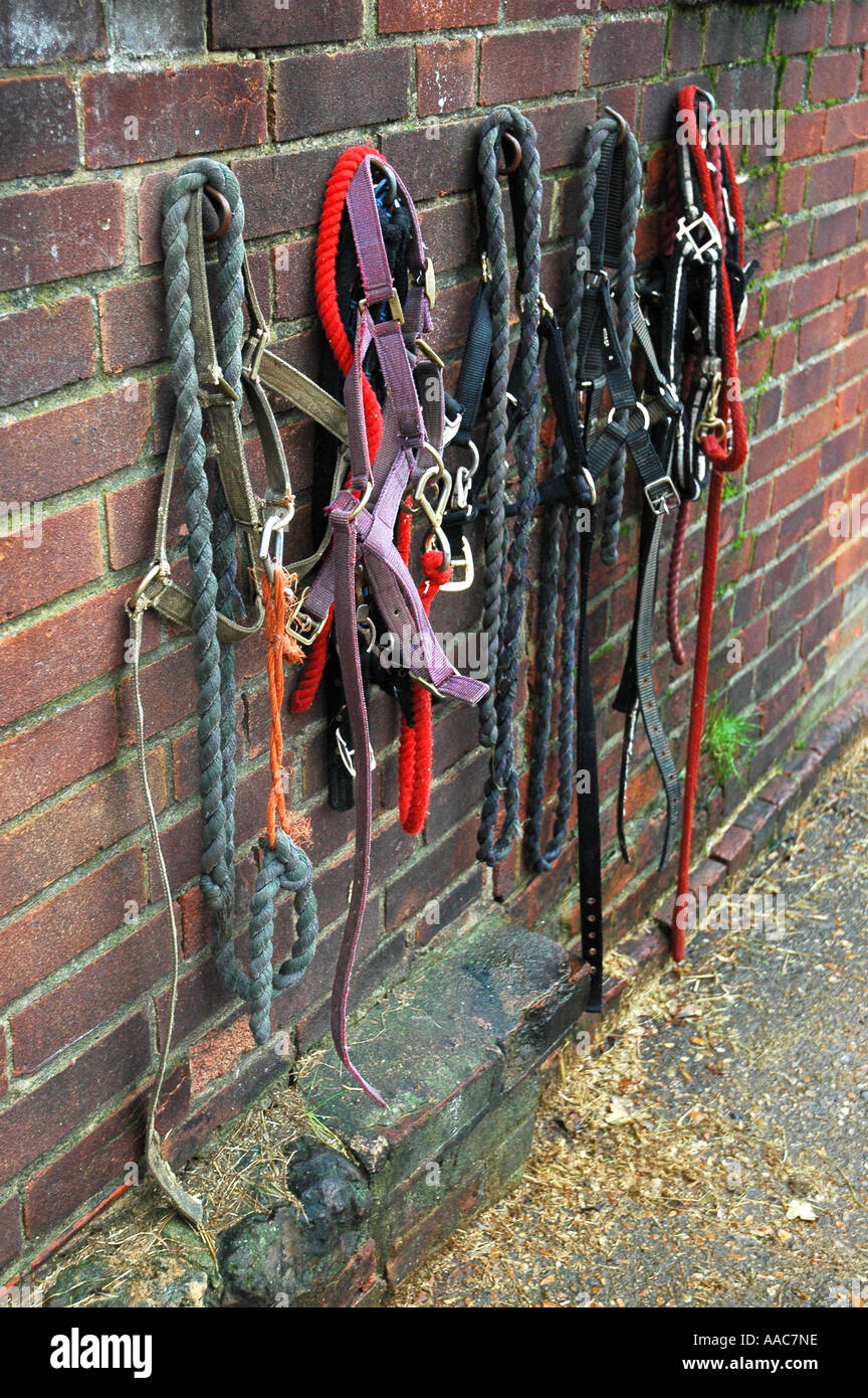Horse riding equipment Stock Photo Alamy