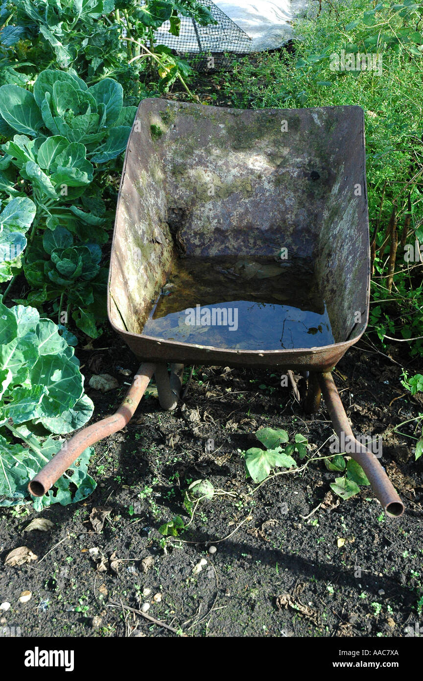 wheelbarrow in the garden Stock Photo