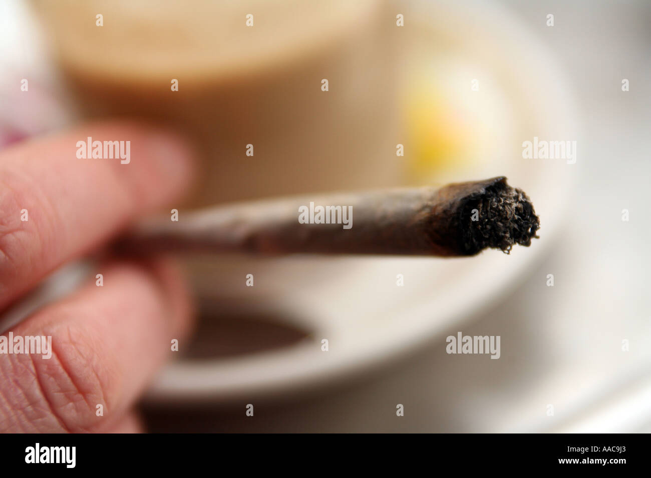 young woman smoking marijuana in a coffee shop in holland, centre frame, close up Stock Photo